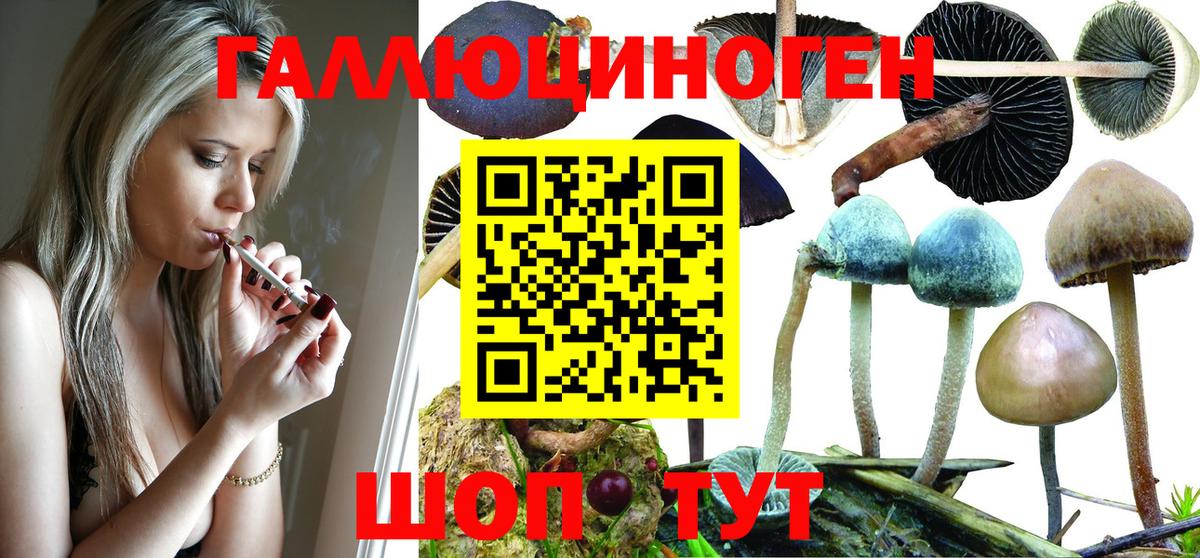 Псилоцибиновые грибы ЛСД  Галлюциногенные грибы GOLDEN TEACHER  Будённовск  Вход с VPN 