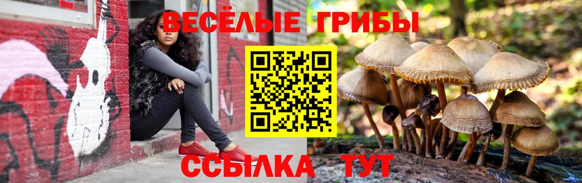 Галлюциногенные грибы Magic Shrooms Будённовск