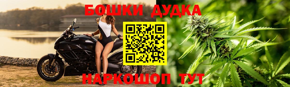 Бошки марихуана планчик Будённовск